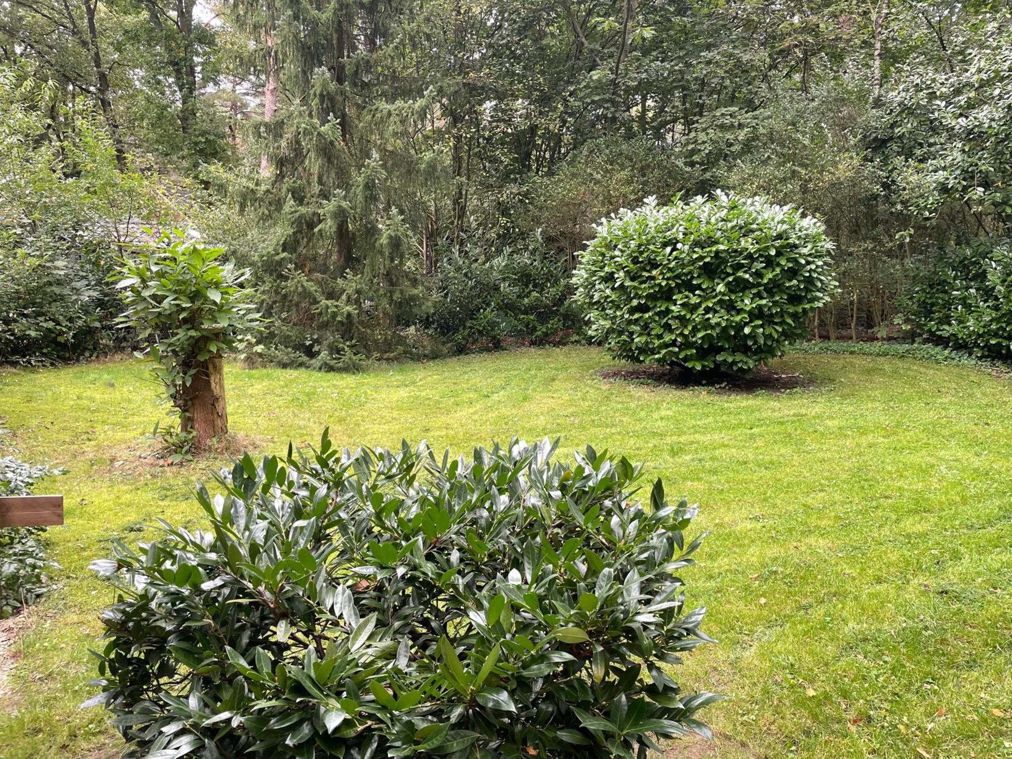Vosseveen 62 Zelhem Εξωτερικό φωτογραφία